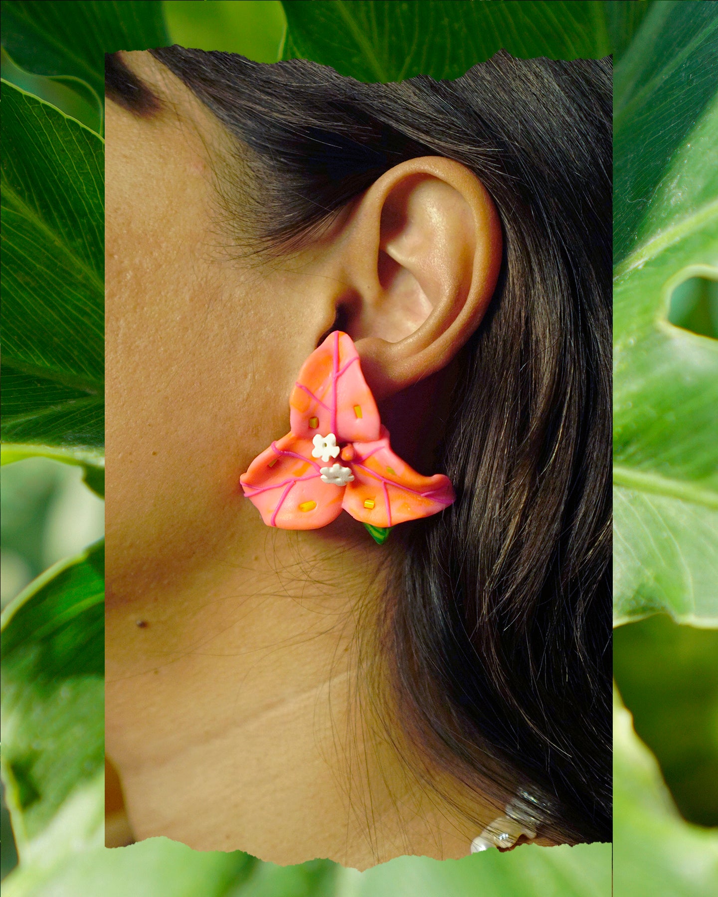 Bougainvillea Bloom in Rosy Kahel