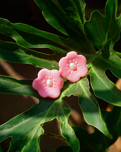 Bulaklak Bloom in Rosas